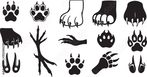 Collection of various stylized black silhouette animal paw prints and sharp claw designs vector set