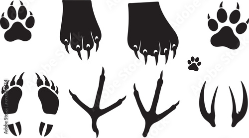 Animal Paw and Footprints Set, Vector Illustration Flat Design