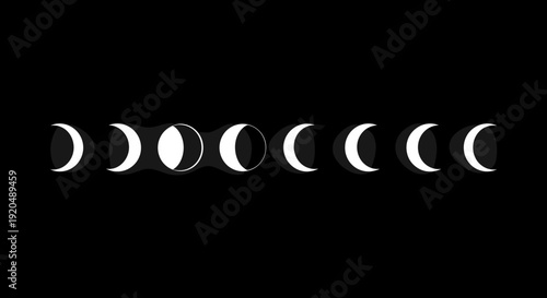 Phases of the Moon Cycle.