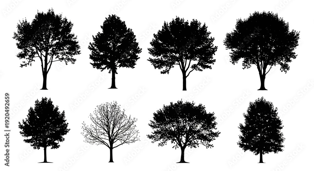 Obraz premium Tree Silhouettes Collection Isolated on White