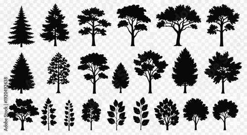 Diverse Tree Silhouettes Collection - Nature Elements for Design