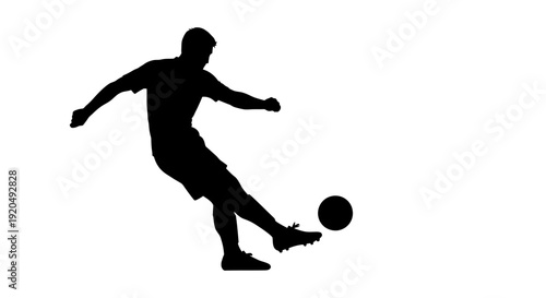 Dynamic Strike: A silhouetted figure executes a powerful kick, embodying the energy and precision of the sport. The image captures the focus and determination of a player in action.