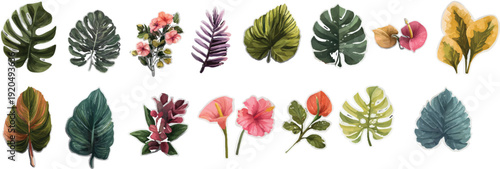 vector set of autumn leaves