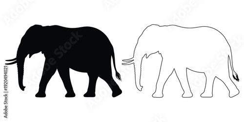 elephant, animal, silhouette