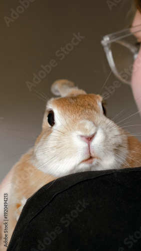 Cute Easter Bunny on hands of a girl. Pet therapy. The rabbits nose. Hugging an animal. A state of happiness and pleasure. Affection and hugs. Concept of Love. Heart against heart. Vertical photo.