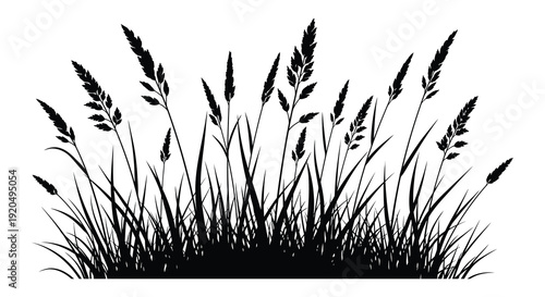 A striking black and white illustration depicts tall grasses and wildflowers swaying gently in the breeze silhouette high quality professional detailed