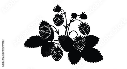 A striking black silhouette displays a cluster of ripe strawberries with detailed leaves and stems silhouette high quality professional modern elegant