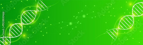 Abstract scientific banner with glowing DNA helix structures and a network of connected nodes on a vibrant green technology background. Vector illustration.