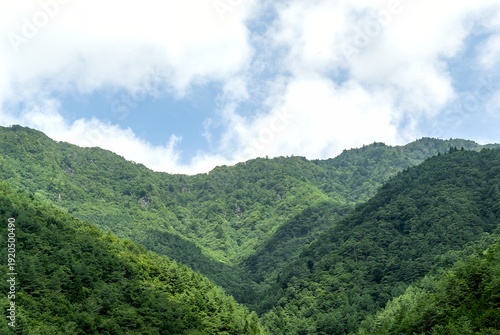 富士河口湖町・王岳の夏：深い緑に包まれた稜線と湧き上がる白雲 / Summer at Mt. Odake, Fujikawaguchiko: Verdant Ridgelines and Rising White Clouds