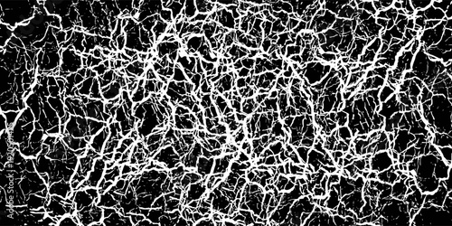 The cracks texture white and black. Vector background.Cracked earth. Structure of cracking. Cracks in dry surface soil texture.