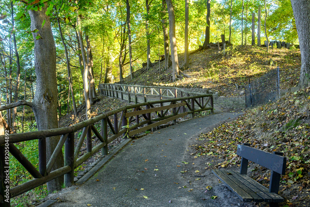 Fototapeta premium Walking path meanders through James Gardens in Toronto