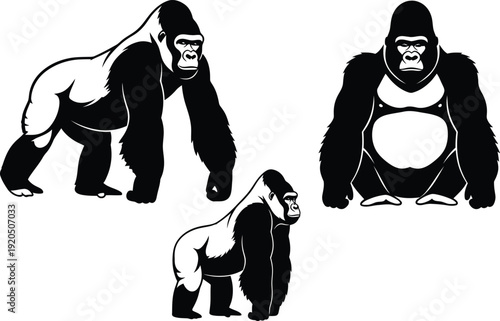 Gorilla silhouette vector set with standing and walking poses, black wild primate illustration isolated on white background