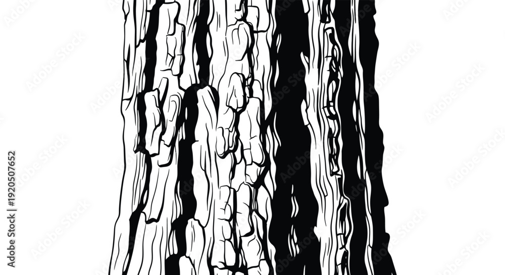 Fototapeta premium A striking black and white image depicts the textured bark of a tall tree against a plain white background silhouette