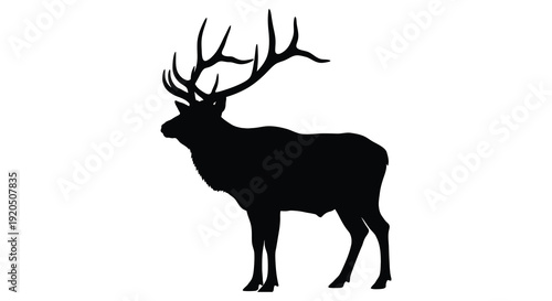 A striking black silhouette of a majestic elk with large antlers stands prominently against a white background silhouette