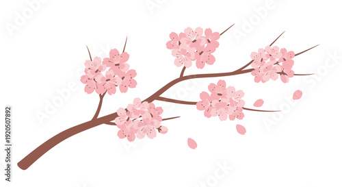 Pink Cherry Blossom Branch with Flowers.