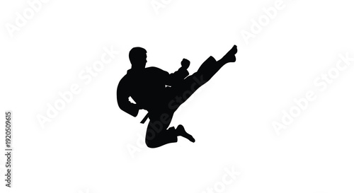 A dynamic black silhouette depicts a martial artist executing a powerful roundhouse kick in mid air silhouette high quality professional