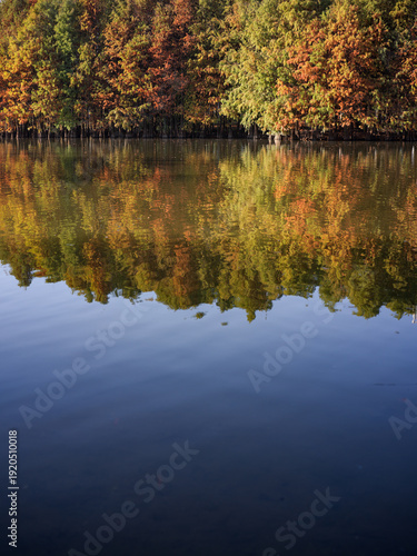 Colorful Trees Reflecting in the Lake at Xiamen Yuanbo Garden, Fujian