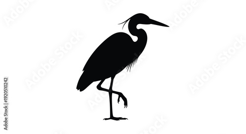 A striking black silhouette of a long legged wading bird possibly a heron or egret stands poised and elegant silhouette