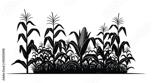 A striking black and white illustration depicts a dense field of corn stalks and ears presented as a silhouette