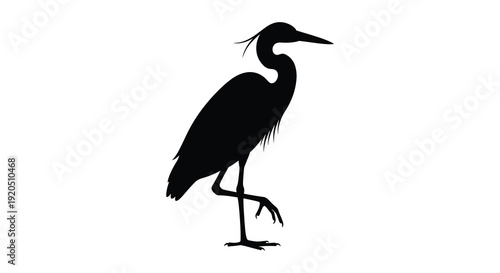 A striking black silhouette of a long legged heron standing in a natural pose showcasing elegant form silhouette high quality