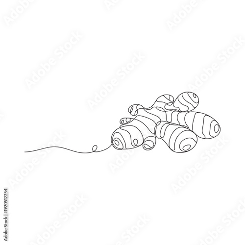 Minimalist line art depiction of several turmeric roots arranged in a delicate composition