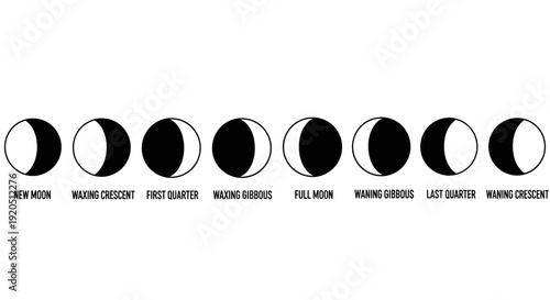 Complete Lunar Cycle with Moon Phases and Names, Educational Astronomy Diagram on an Isolated White Background.
