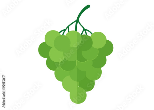 Bunch of green grapes hanging from stem.