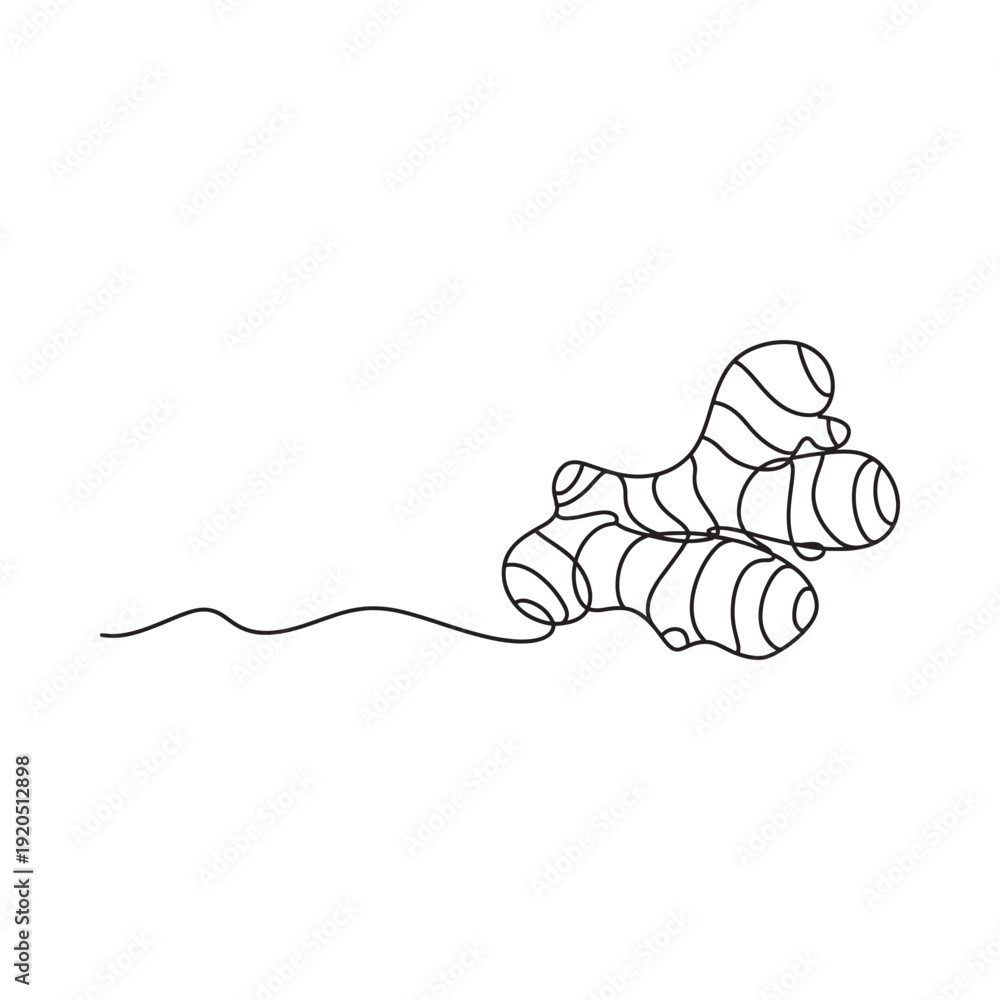 Obraz premium Minimalist line art illustration of a cluster of ginger roots with a trailing stem