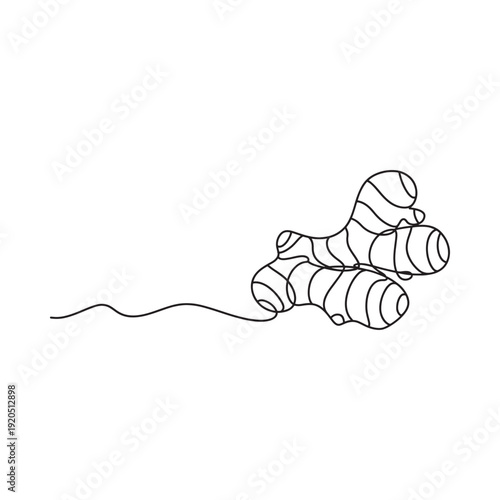Minimalist line art illustration of a cluster of ginger roots with a trailing stem
