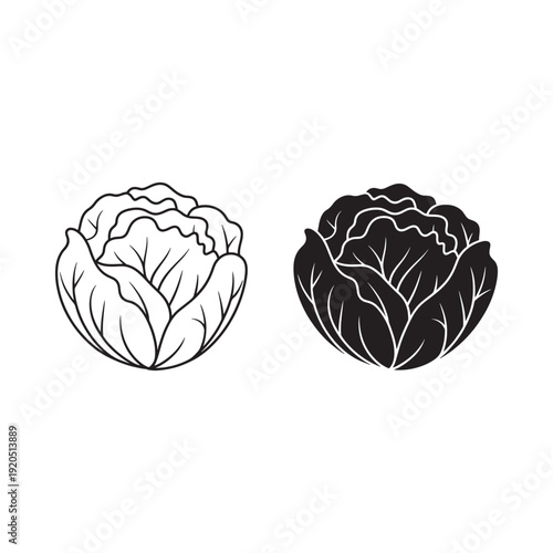 Black and white illustration of two cabbage heads one light and one dark