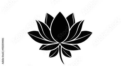 Black Lotus Flower Silhouette, Symbol of Purity, Enlightenment, and Rebirth