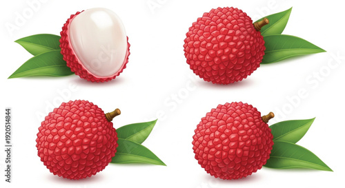 Fresh lychee fruit vector set with whole and peeled tropical fruits and green leaves isolated on white