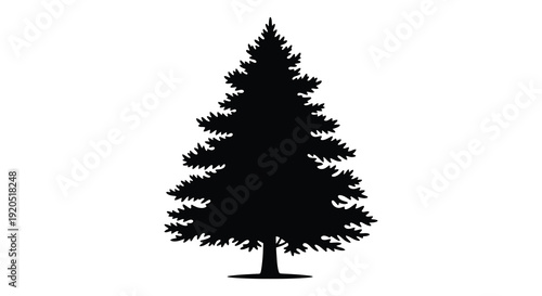 A striking black silhouette of a tall conical evergreen tree against a plain white background silhouette high quality professional