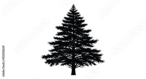 A striking black silhouette of a mature evergreen tree against a plain white background showcasing natural form silhouette