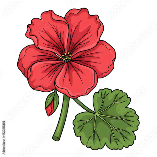 Wallpaper Mural A vibrant red flower with green leaves and delicate stem illustration Torontodigital.ca