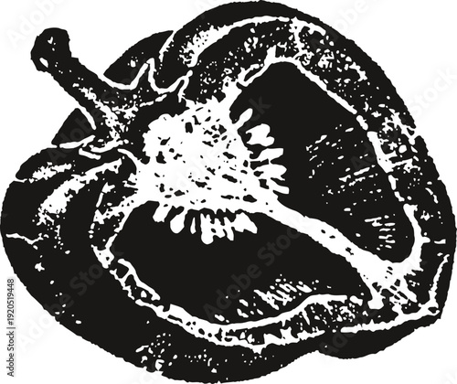 Black and white illustration of a sliced chili pepper showing seeds and internal structure