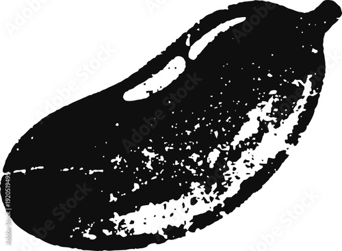 Black and white cacao bean illustration, detailed natural seed sketch, botanical food drawing