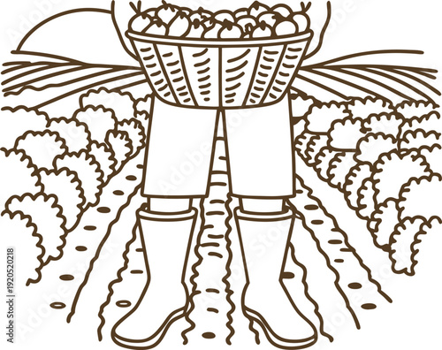 Farmer harvesting tomatoes in field carrying basket wearing boots and pants agriculture and fresh produce concept