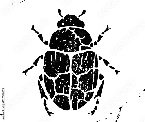 black textured beetle silhouette isolated on white background insect vector illustration with detailed exoskeleton pattern
