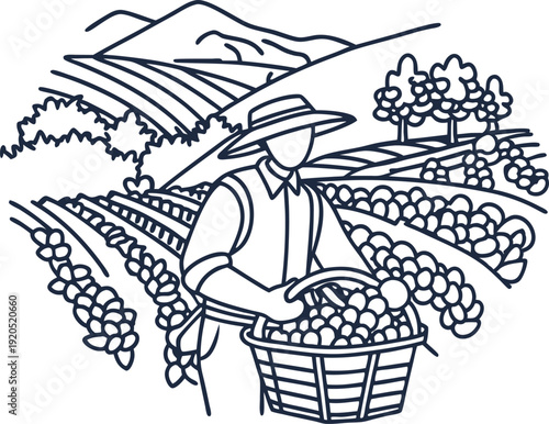 Farmer harvesting grapes in vineyard with rolling hills and trees in the background