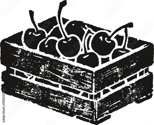 Rustic crate filled with cherries vintage fresh fruit wooden box illustration
