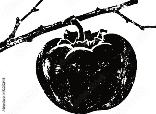 Black and white persimmon fruit hanging on tree branch vintage illustration design