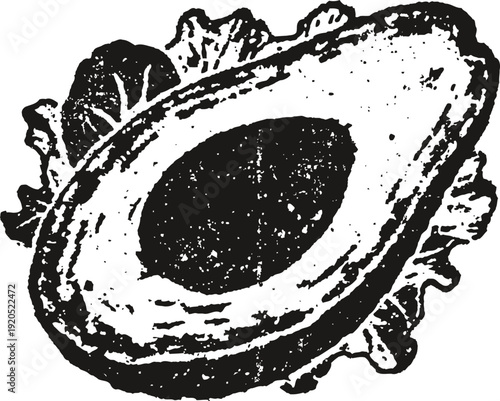 Vintage avocado half illustration with pit and leaves in decorative