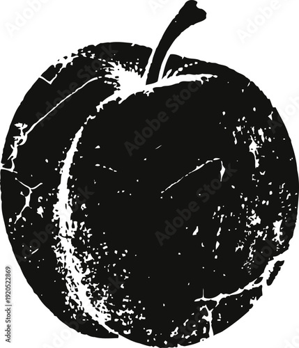 Vintage plum fruit illustration detailed black ink etched whole round ripe fresh plum with stem