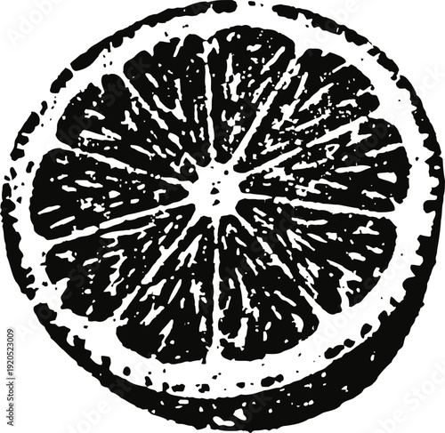 Black and white citrus fruit slice illustration, grapefruit or orange cross section with visible segments, textured vintage