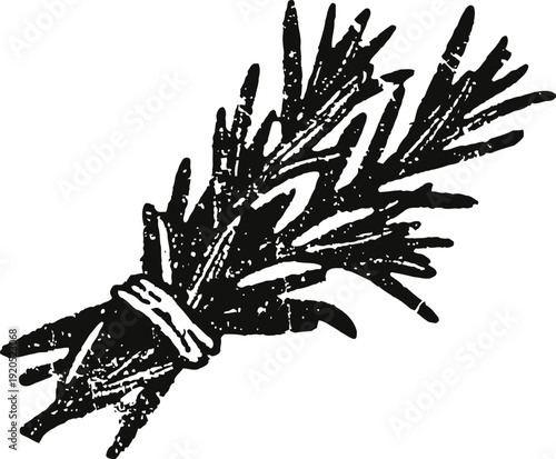 Bundle of dried herbs tied with string vintage engraving clipart, rustic natural seasoning and herbal medicine illustration