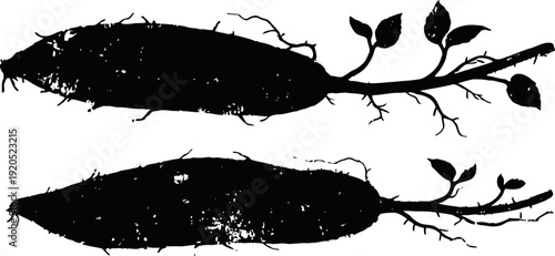 silhouette of two sprouting radishes with leaves and roots isolated on white background