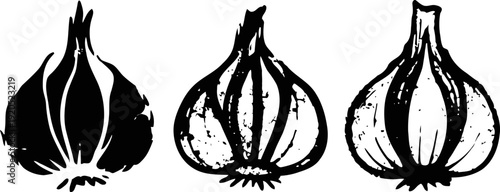 Black and white garlic illustrations set with rustic texture and detailed root bulbs