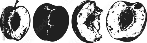 black and white illustration of peach fruit whole and bitten, detailed vector sketch of fresh juicy stone fruit