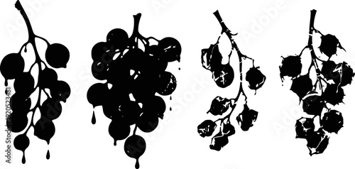 Black grape silhouettes dripping juice, bunches of fresh grapes in different shapes and sizes